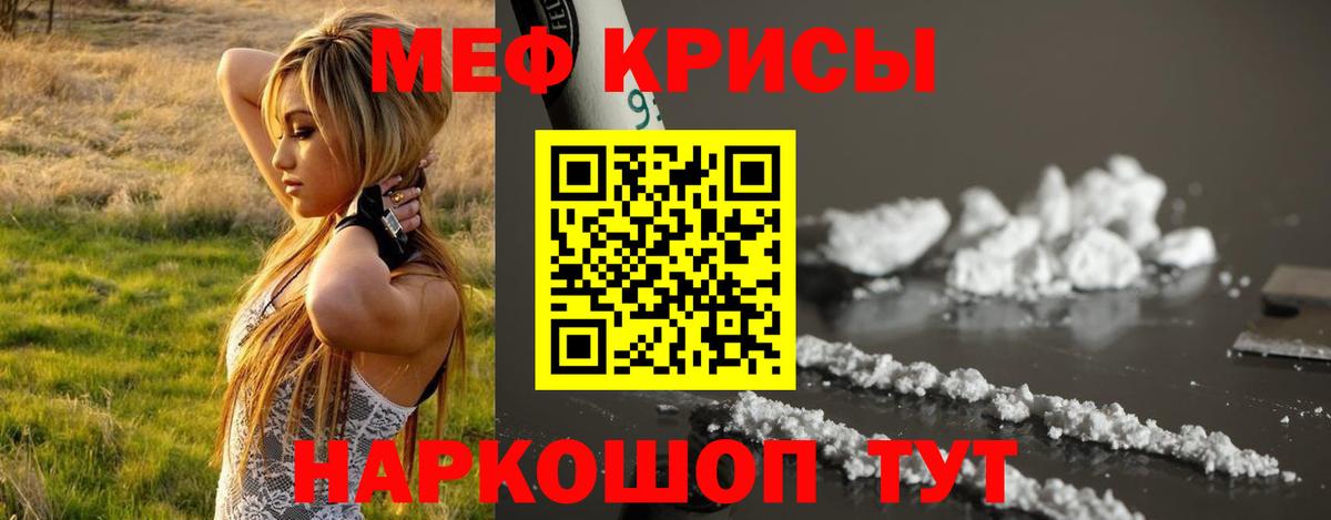 МЕФ  Выборг