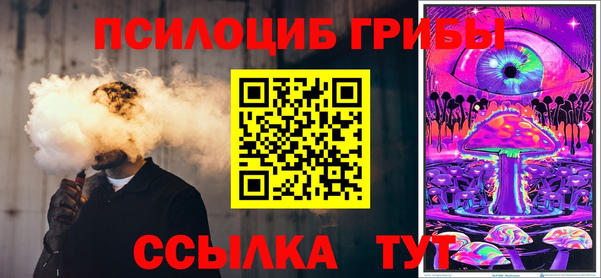 Галлюциногенные грибы Cubensis Выборг